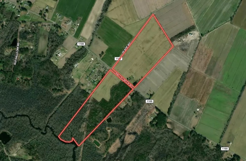 75.6 acre Riverfront Farm and Timberland For Sale in Pasquotank County NC featured image