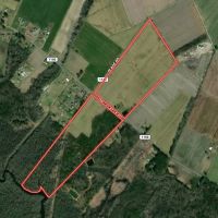75.6 acre Riverfront Farm and Timberland For Sale in Pasquotank County NC