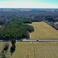 75.6 acre Riverfront Farm and Timberland For Sale in Pasquotank County NC images 3