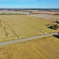 75.6 acre Riverfront Farm and Timberland For Sale in Pasquotank County NC images 4