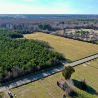 75.6 acre Riverfront Farm and Timberland For Sale in Pasquotank County NC images 5
