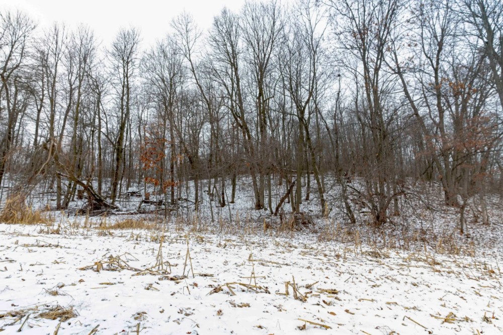 Welcome to a Prime 35-Acre Property in Columbia County featured image