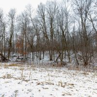 Welcome to a Prime 35-Acre Property in Columbia County