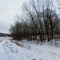 Welcome to a Prime 35-Acre Property in Columbia County images 3