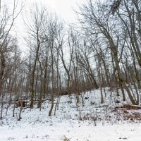 Welcome to a Prime 35-Acre Property in Columbia County images 4