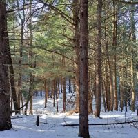 Rice Road Retreat images 2