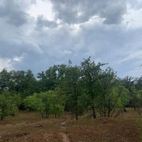 New Listing 8.5 - Acres Eastland County West images 4