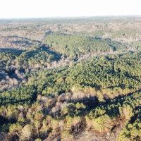 Splunge Creek images 2