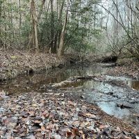Splunge Creek images 3