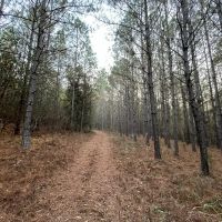 Splunge Creek images 4