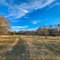 44.48 acres of Residential Hunting Land For Sale in Rockingham County NC images 5