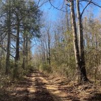 Secluded 26 acres- Hunting- Power Water