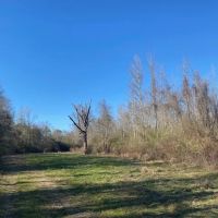 Secluded 26 acres- Hunting- Power Water images 3
