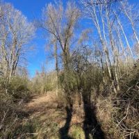 Secluded 26 acres- Hunting- Power Water images 4