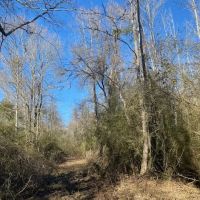 Secluded 26 acres- Hunting- Power Water images 5