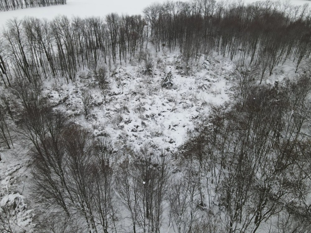 Michigan Hunting Land for Sale in Ionia County featured image