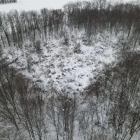 Michigan Hunting Land for Sale in Ionia County