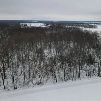 Michigan Hunting Land for Sale in Ionia County images 2