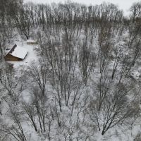 Michigan Hunting Land for Sale in Ionia County images 3