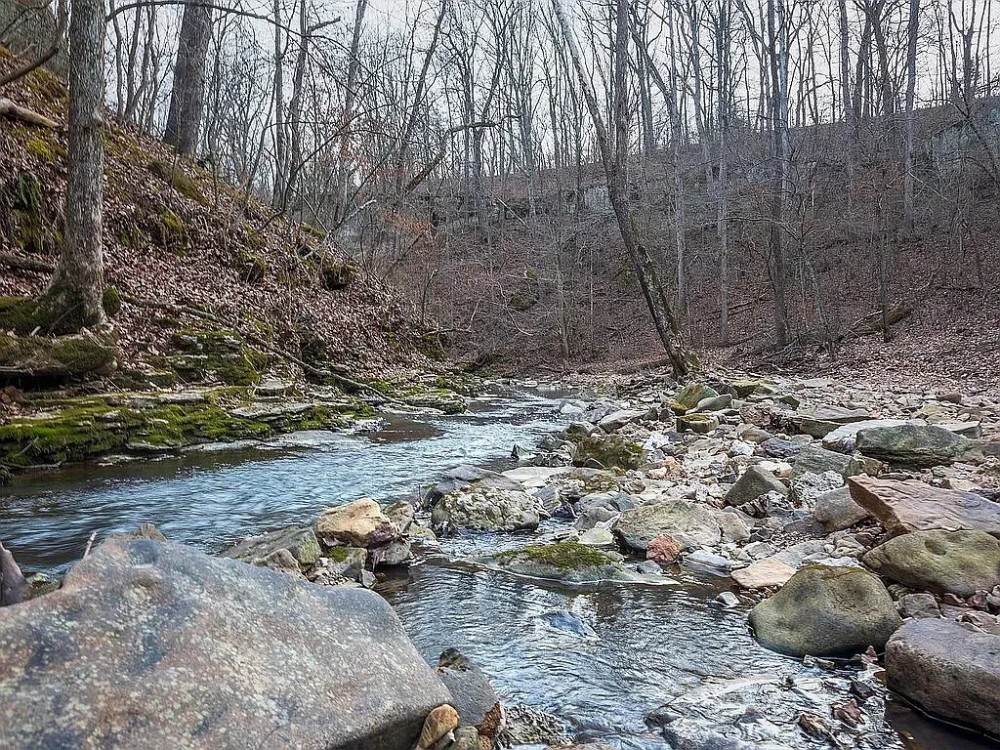 24.4 Acre Tract with Tillable and Rock Bottom Creek for Sale Monroe County featured image