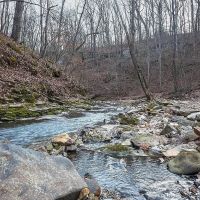 24.4 Acre Tract with Tillable and Rock Bottom Creek for Sale Monroe County