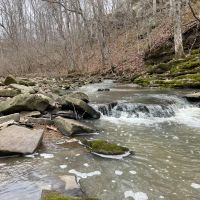 24.4 Acre Tract with Tillable and Rock Bottom Creek for Sale Monroe County images 3