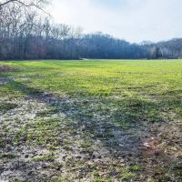 24.4 Acre Tract with Tillable and Rock Bottom Creek for Sale Monroe County images 5