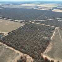 New Listing 19 - Acres Jones County images 3