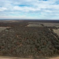New Listing 19 - Acres Jones County images 4