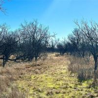 New Listing 20 - Acres Brown County