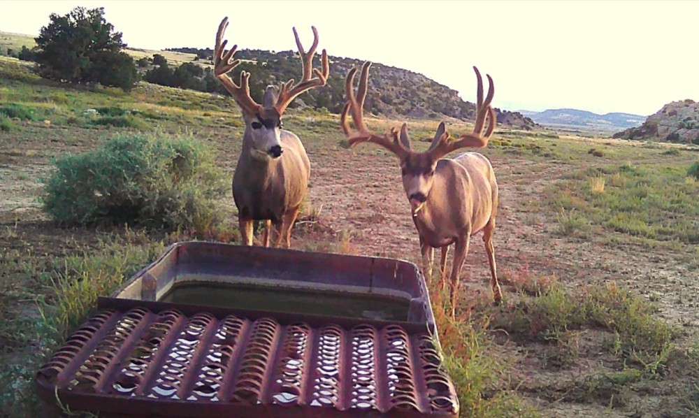 Rockin Broken Arrow Ranch featured image