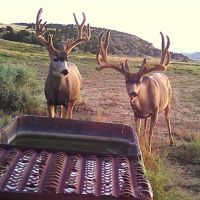 Rockin Broken Arrow Ranch