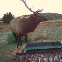 Rockin Broken Arrow Ranch images 2
