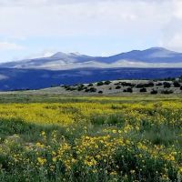 Rockin Broken Arrow Ranch images 3