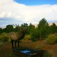 Rockin Broken Arrow Ranch images 5