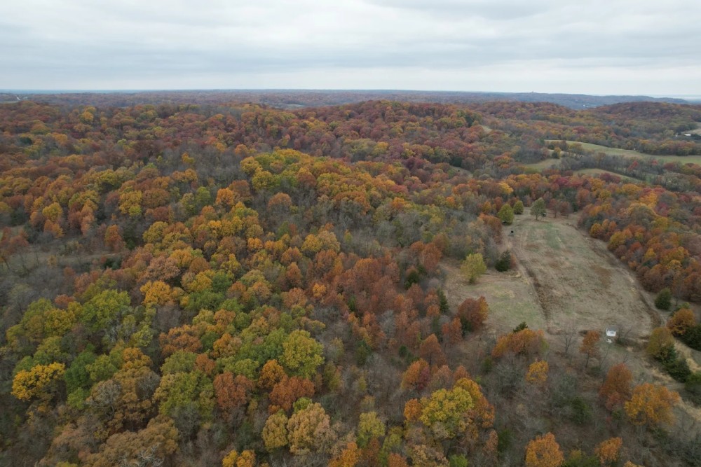 98.1 Acre Wooded Hunting Tract for Sale Ralls County featured image