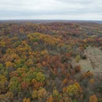 98.1 Acre Wooded Hunting Tract for Sale Ralls County images 1