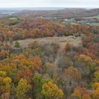 98.1 Acre Wooded Hunting Tract for Sale Ralls County images 2