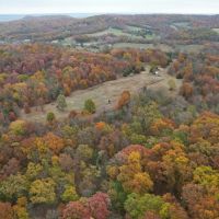 98.1 Acre Wooded Hunting Tract for Sale Ralls County images 3