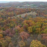 98.1 Acre Wooded Hunting Tract for Sale Ralls County images 5