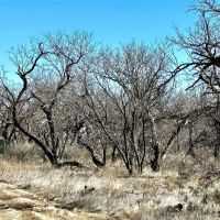 New Listing 22 - Acres Brown County images 2