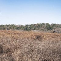 Residential Commercial Opportunities in North Lincoln Parish images 2