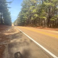 12 Acres in Choctaw County MS images 3