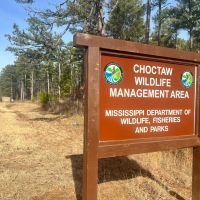12 Acres in Choctaw County MS images 4