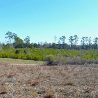 9.5 Acres of Rural Land for Sale in Pike County MS images 3
