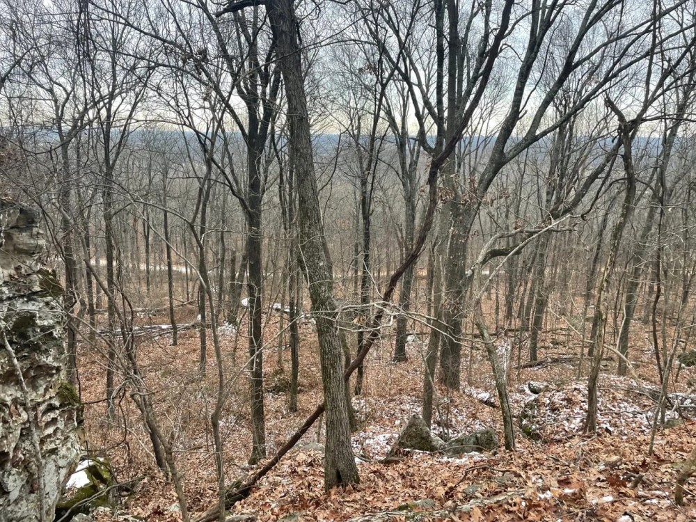 5 - Acres Backs up to Foushee Cave Natural Area Road Frontage Independence County Arkansas featured image