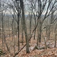 5 - Acres Backs up to Foushee Cave Natural Area Road Frontage Independence County Arkansas