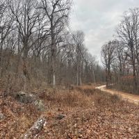 5 - Acres Backs up to Foushee Cave Natural Area Road Frontage Independence County Arkansas images 2