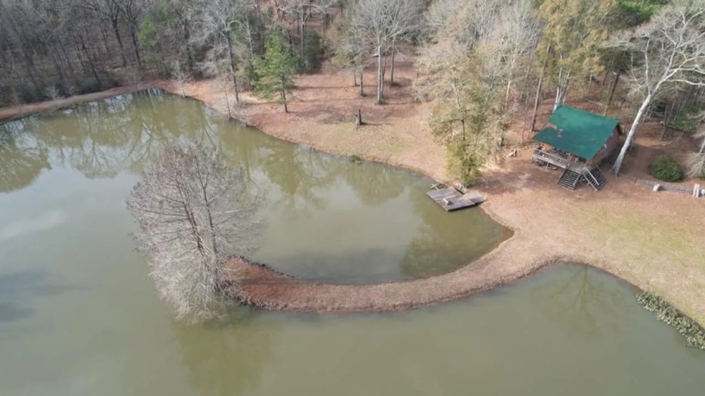 Secluded Paradise for Sale in Amite County MS featured image