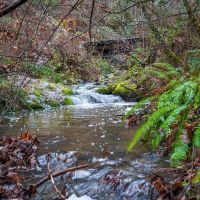 Wagner Creek Road images 2